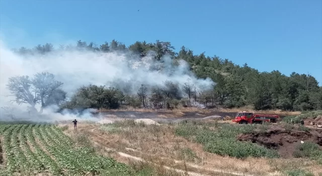 Bolu’da çıkan orman yangınına ekiplerce müdahale ediliyor