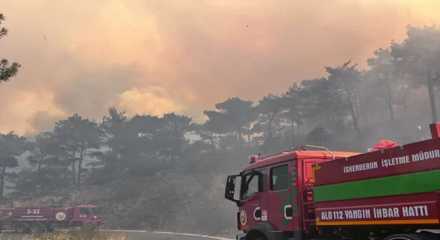 Bakan Yumaklı, Mersin’in Gülnar ilçesindeki orman yangınının kontrol altına alındığını bildirdi