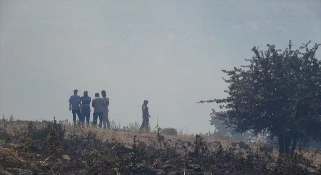 Çanakkale’nin Ayvacık ilçesinde orman yangını