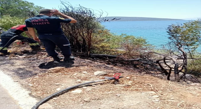 Bodrum’da yangın çıkardığı iddia edilen şüpheli gözaltına alındı