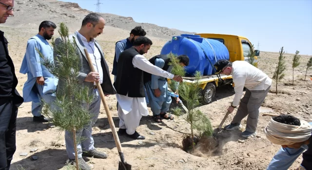 TİKA, Herat’ta 15 Temmuz şehitleri anısına fidan dikti