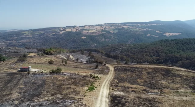 Çanakkale’deki orman yangını sonrası hayat normale dönmeye başladı