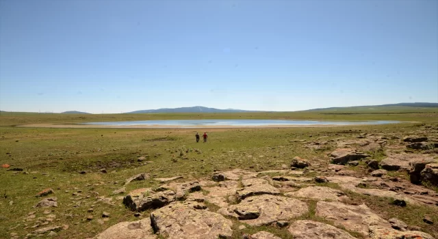 Kars’taki Asboğa Gölü yaklaşık 8 metre çekildi