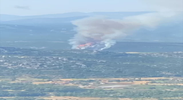 Muğla’da ormanlık alanda yangın çıktı