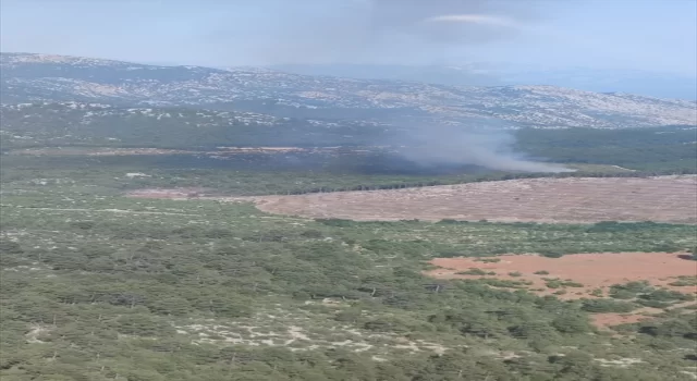 Antalya’da orman yangını çıktı