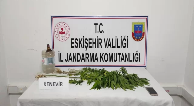 Eskişehir’de ilçe mezarlığına kenevir bitkisi ektiği iddia edilen sanık yakalandı 