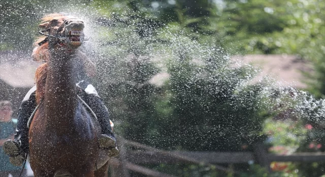 Düzce’de sıcaktan etkilenen atlar yıkanarak serinletildi