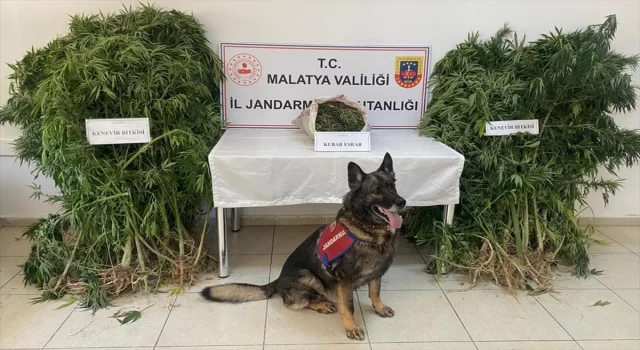 Malatya’da uyuşturucu operasyonunda yakalanan sanık tutuklandı 