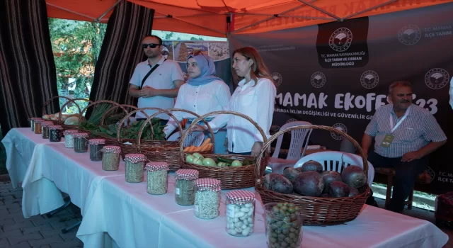 ”Ekolojik Köy” tabii ürünleriyle festival ziyaretçilerine kapılarını açtı