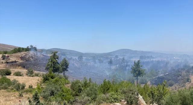 GÜNCELLEME  Muğla’nın Milas ilçesinde çıkan orman yangını kontrol altına alındı