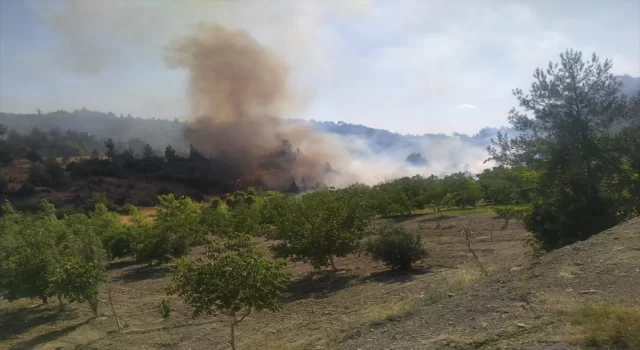 Kahramanmaraş’ta çıkan orman yangınına müdahale ediliyor