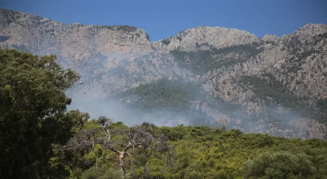 Antalya’nın Kemer ilçesindeki orman yangınına havadan ve karadan müdahale ediliyor