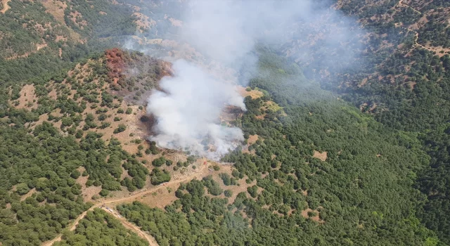 Manisa’nın Alaşehir ilçesinde orman yangını çıktı