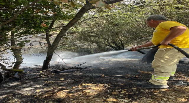 GÜNCELLEME 3  Çanakkale’deki orman yangını kontrol altına alındı