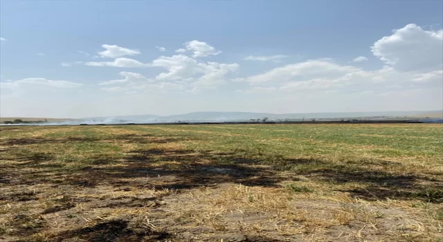 Isparta’da çıkan yangında 120 dekarlık arpa tarlası zarar gördü 