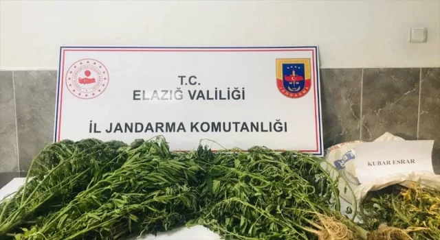 Elazığ’da ektiği Hint kenevirlerini sulayan şüpheli suçüstü yakalandı