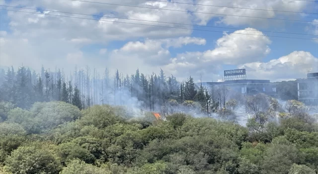 Kağıthane’de ormanlık alanda yangın çıktı 