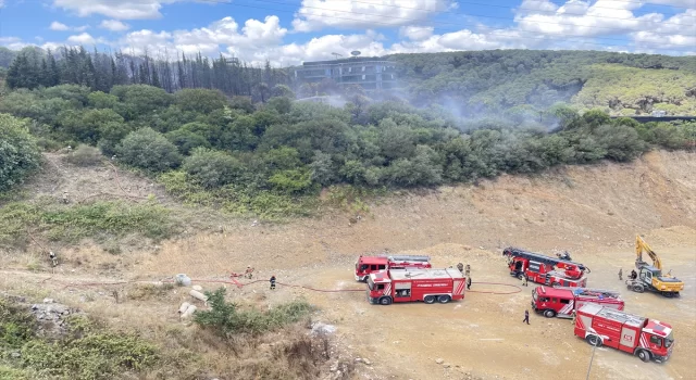 GÜNCELLEME Kağıthane’de ormanlık alanda çıkan yangın söndürüldü