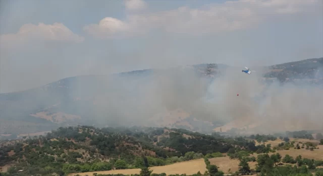 Çanakkale’de çıkan yangın tarım arazisinde zarara neden oldu