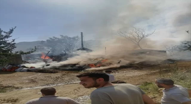 Keçi otlatırken hazırlandığı LGS sınavında 494 puan alan Muhammet’in ailesine ait ahır yandı