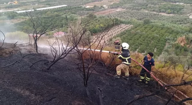 Hatay’da ağaçlık ve makilik alanda çıkan yangın söndürüldü 