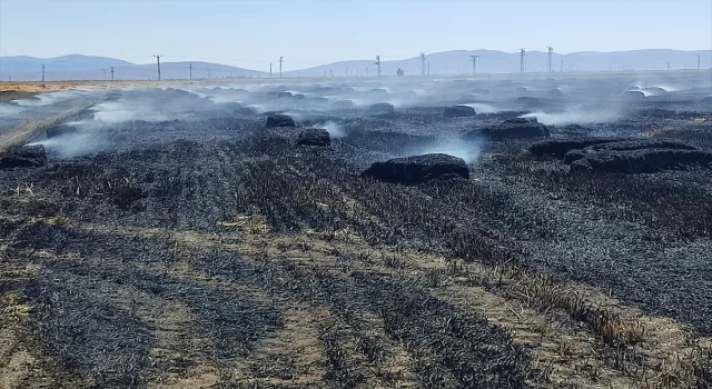 Afyonkarahisar’da 65 dekarlık tarım arazisi yangında zarar gördü