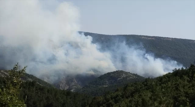 Bilecik’te çıkan orman yangınına havadan müdahale ediliyor