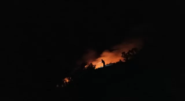 Hatay’da makilik alanda çıkan yangın söndürüldü