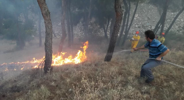 Sinop’ta çıkan orman yangını söndürüldü