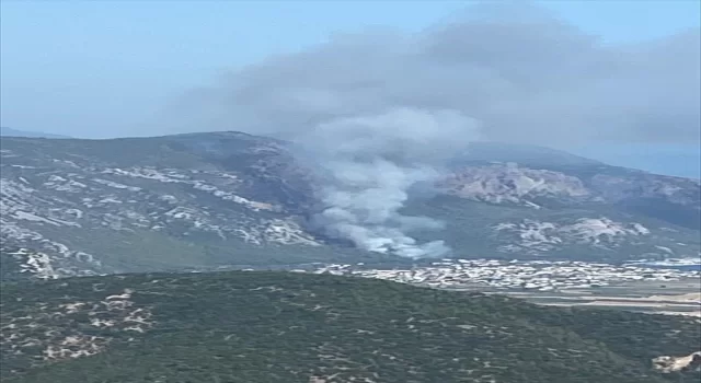 Muğla’da çıkan orman yangınına müdahale ediliyor