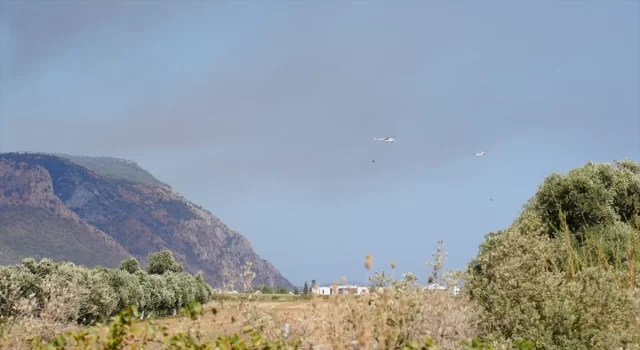 Muğla’da çıkan orman yangınına müdahale ediliyor