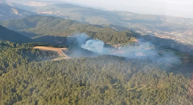 Balıkesir İvrindi’de orman yangını çıktı