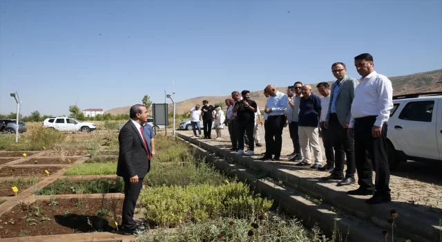 Muş’ta yetiştirilen tıbbi ve aromatik bitkiler tanıtıldı