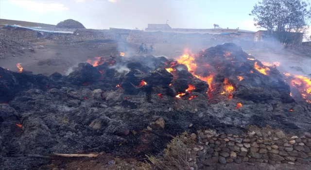 Van’da 8 bin bağ ot yandı