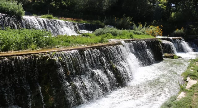 Erzincan’da kavurucu sıcaklardan bunalanlar soluğu ”Soğuk Sular”da alıyor