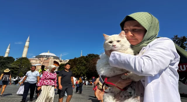 Ankara kedisi ”Seymen” yeni yuvası Ayasofyai Kebir Camii’nde