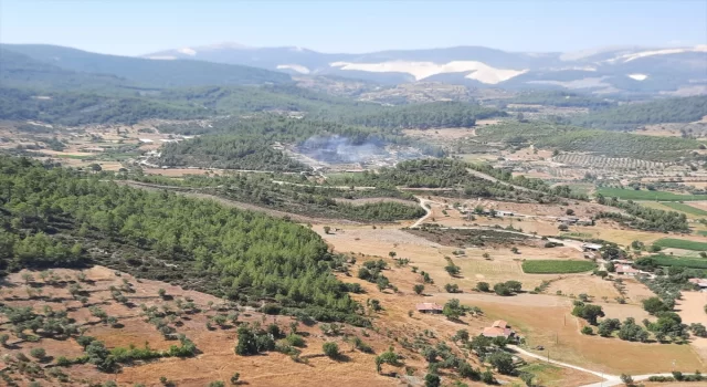 GÜNCELLEME Muğla’daki orman yangını kontrol altına alındı