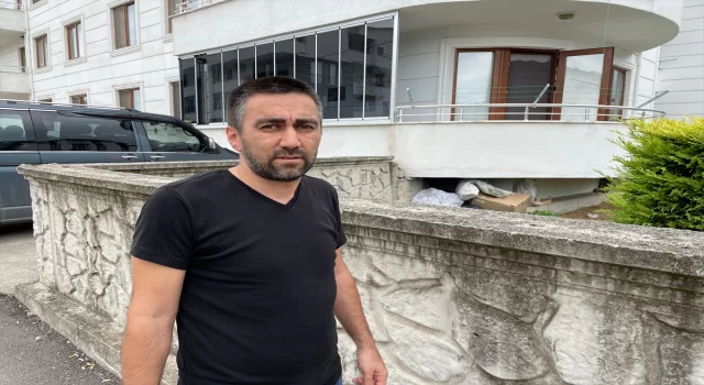 Kocaeli’de başıboş köpeklerin yavrularını koruyan kediyi öldürmesi kamerada