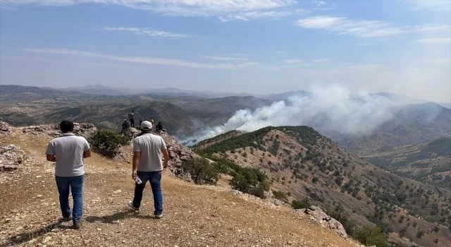 Bingöl’de ormanlık alanda çıkan yangına müdahale ediliyor