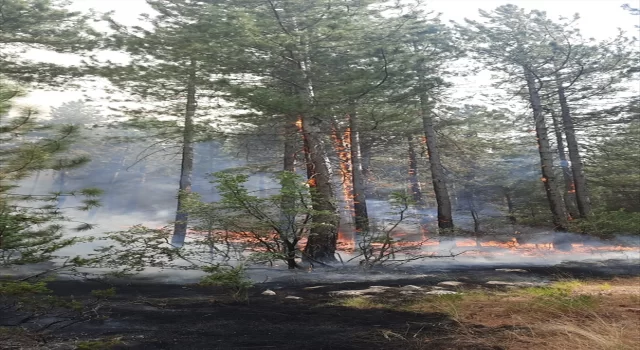 GÜNCELLEME  Antalya Akseki’de orman yangını çıktı