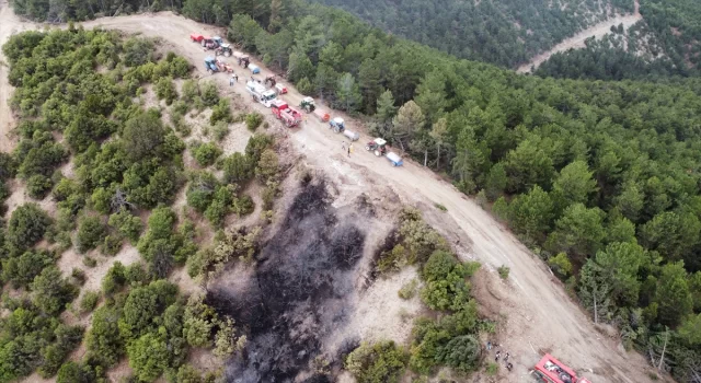 Bolu’da orman yangınına müdahale ediliyor