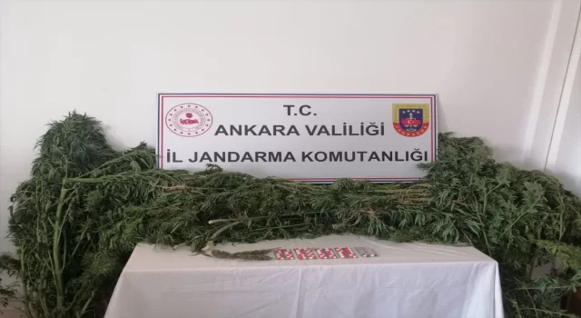 Ankara’da jandarma ekiplerince uyuşturucu operasyonu düzenlendi