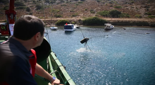 Bodrum’da dalgıçlar deniz dibinden 20 tona yakın tonoz ve çapa çıkardı