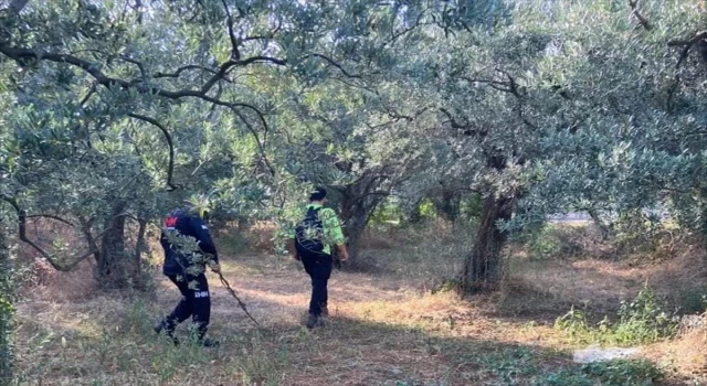 Yalova’da kaybolan öğretmen için arama çalışması başlatıldı