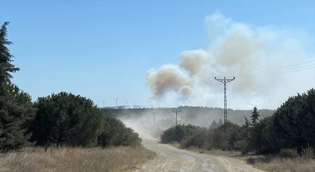 Silivri’de ormanlık alanda çıkan yangın kontrol altına alındı