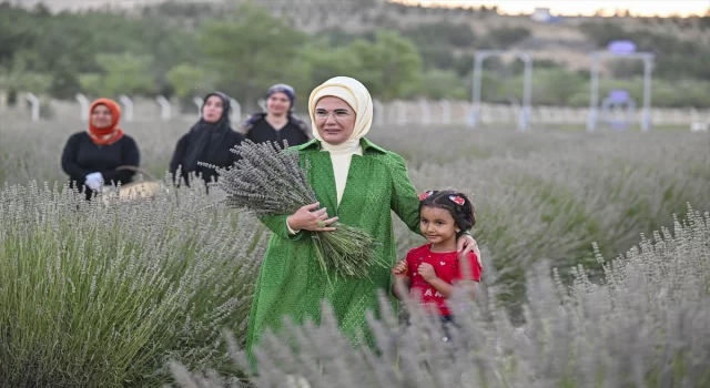 Emine Erdoğan, Ankara’da Ekolojik Köy ziyareti ve lavanta hasadı yaptı