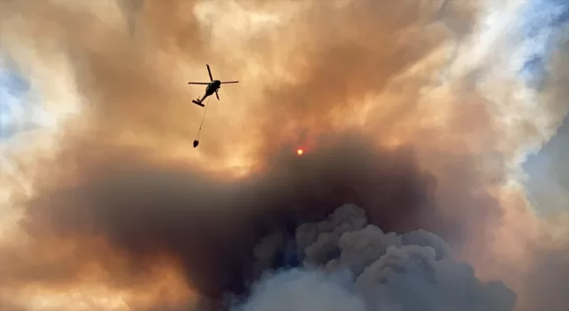 GÜNCELLEME 3 Çanakkale’de orman yangını çıktı