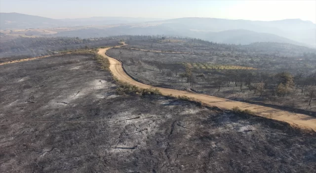 GÜNCELLEME 2  Bilecik ve Bursa’daki orman yangını 18’inci saatinde kontrol altına alındı