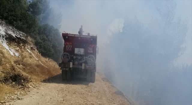 Kahramanmaraş’ta çıkan orman yangını kontrol altına alındı