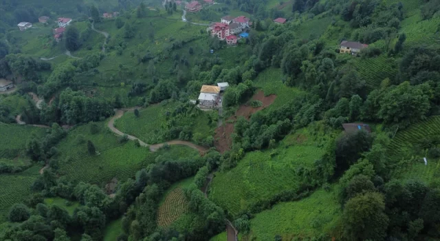 GÜNCELLEME  Rize’de şiddetli yağış etkili oldu